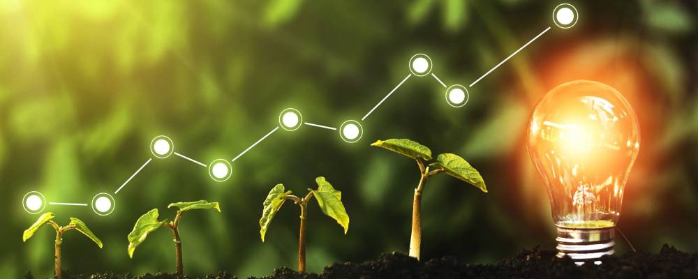 Tout savoir sur la certification RGE : Reconnu Garant de l’Environnement